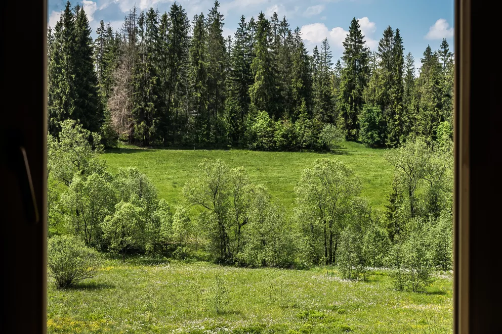 Domek Góralski Niedźwiedzia Gawra Poronin