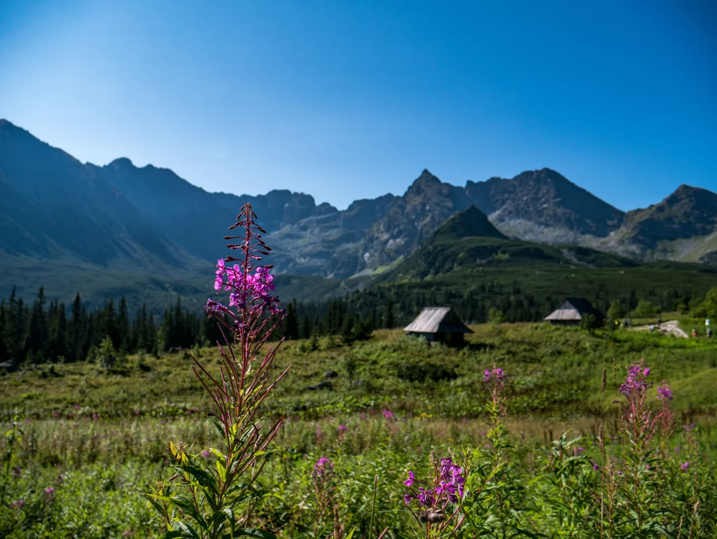 Tatry latem czy zimą?