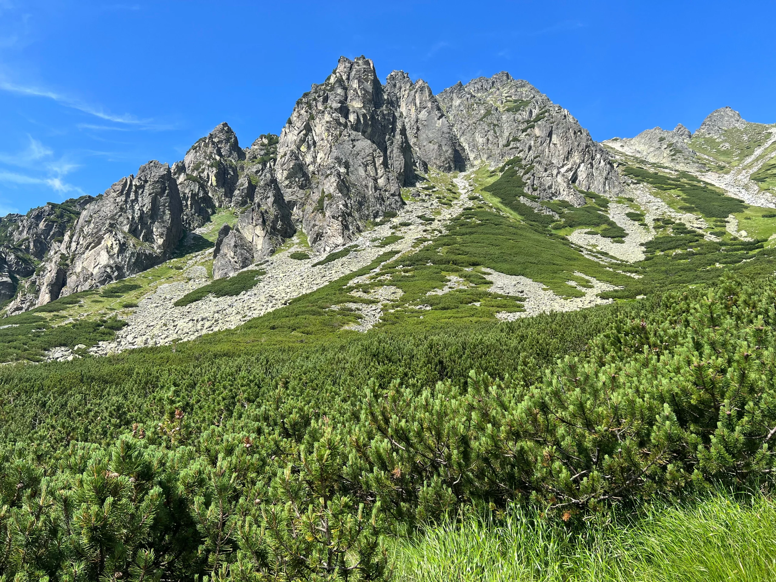 Zdjęcie 027