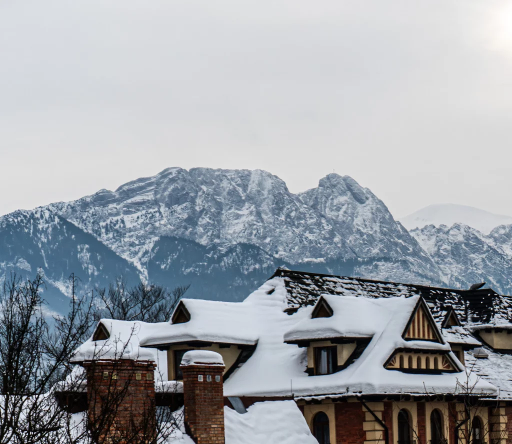 Apartamenty Brzozowa 36