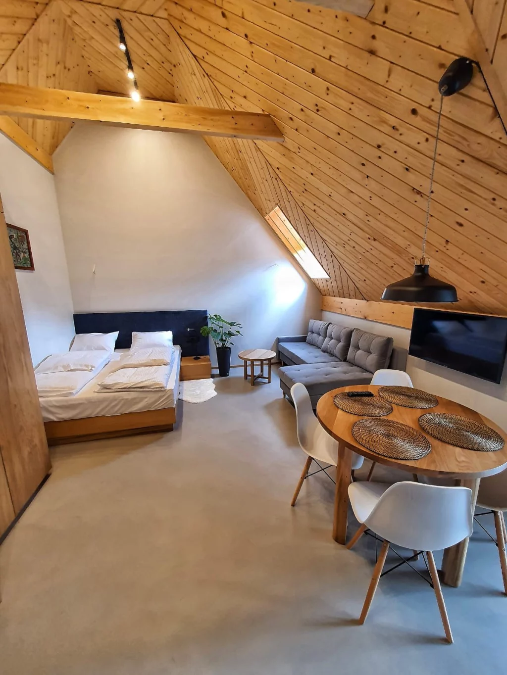 Apartament nr2 - z rozkładaną sofą